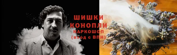 прущие грибы Пересвет