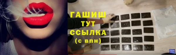 прущие грибы Пересвет