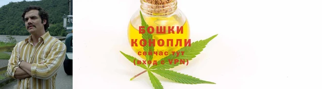 ECSTASY Пестово