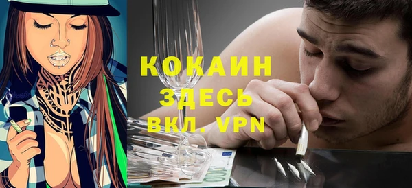 прущие грибы Пересвет
