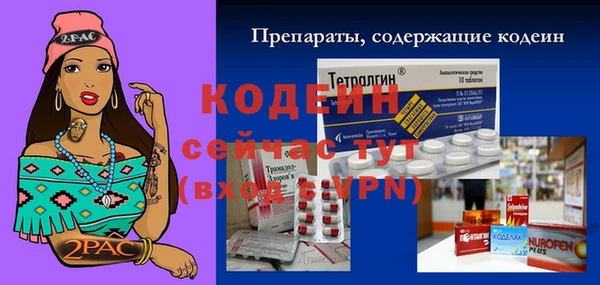 ECSTASY Пестово