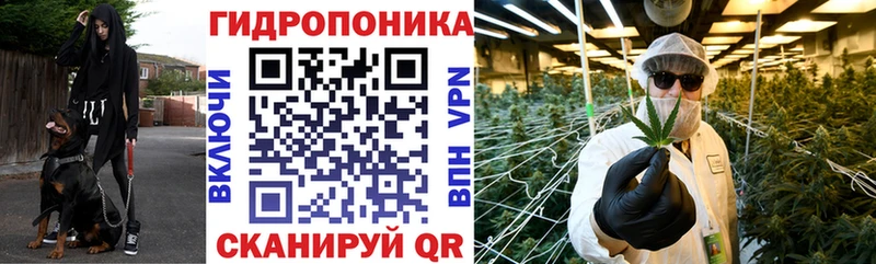 Бошки Шишки LSD WEED  даркнет какой сайт  Никольское 